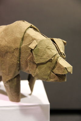 Exposition de Seth Friedmann
