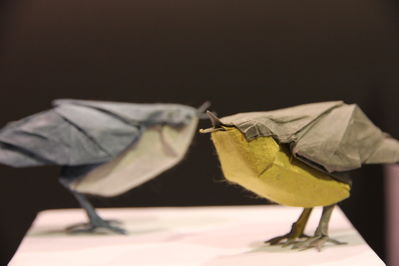 Exposition de Seth Friedmann
