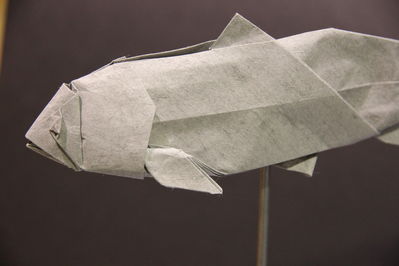 Exposition de Seth Friedmann
