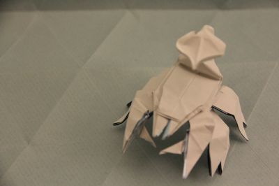 Bébé scorpion blanc de Riccardo Foschi

