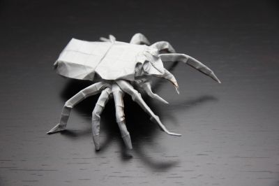 JumpingSpider3.jpg