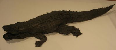 Alligator
Alligator de Michael Lafosse
Mots-clés: exposition