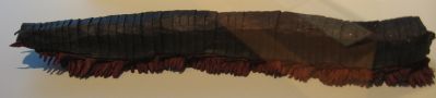 American Giant Centipede
American Giant Centipede de Kenneth Baclawski
Mots-clés: exposition