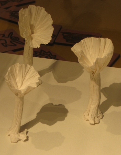 Champignons
Champignons de Vincent Floderer
Mots-clés: exposition