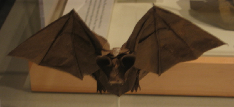 Chauve-souris
Chauve-souris de Nathan Geller
Mots-clés: exposition