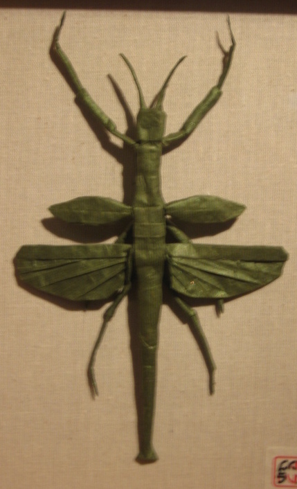 Flying Walking Stick
Flying Walking Stick de Robert Lang
Mots-clés: exposition