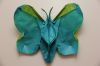 Butterfly2.jpg