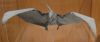 Nom du fichier=pem-001-satoshi-kamiya-pteranodon.jpg
Taille du fichier=66Ko
Dimensions : 673x284
Ajouté le : 29 Février 2008 pem-001-satoshi-kamiya-pteranodon.jpg