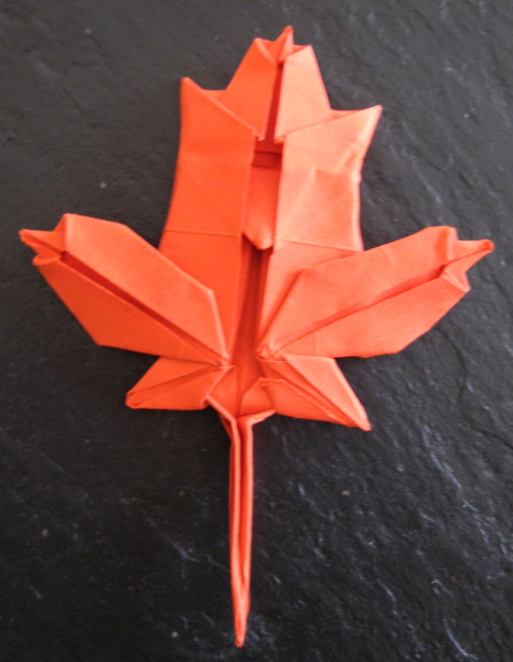 Maple leaf de Brian Chan
