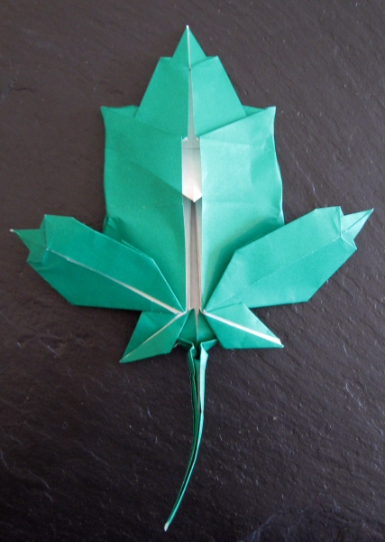 Maple leaf de Brian Chan
