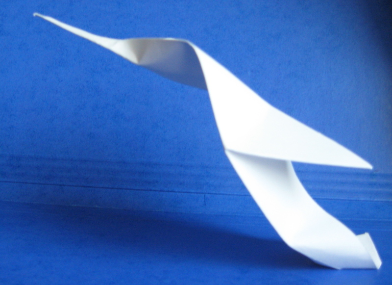 Hummingbird de Nguyen Tu Tuan

