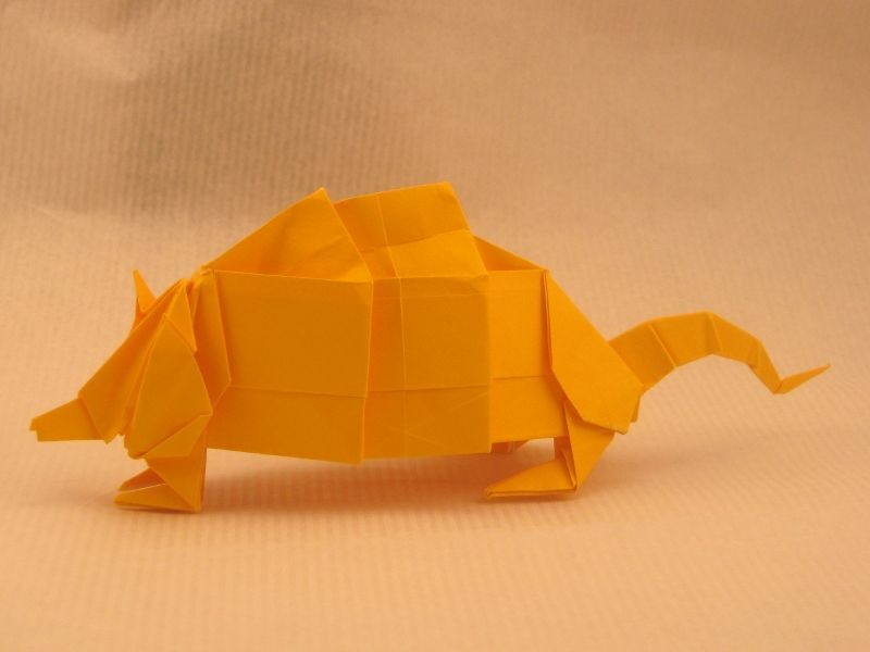 Armadillo de Joseph Wu
