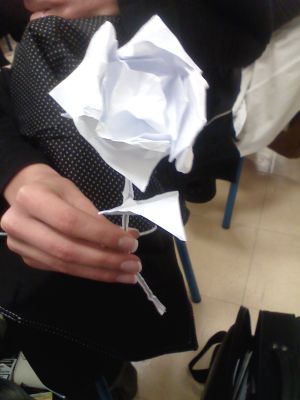 Ma rose
Voici mon modèle de rose ( qu'une fois encore je serai incapable de refaire ), créée après avoir flashé sur la rose de Kawasaki ( ? je ne suis pas trop sûr ). En deux feuilles, une pour la rose, une pour la tige et la feuille. la rose est faite dans un carré, le reste dans un rectangle. Pour une improvisation, je trouve ça pas trop mal :D
