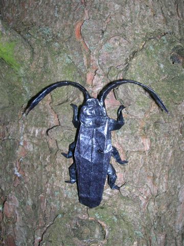 Black_Pine_Sawyer_Lang_origami_Insects_and_Their_Kin
Mots-clés: Black Pine Sawyer Lang origami Insects and Their Kin