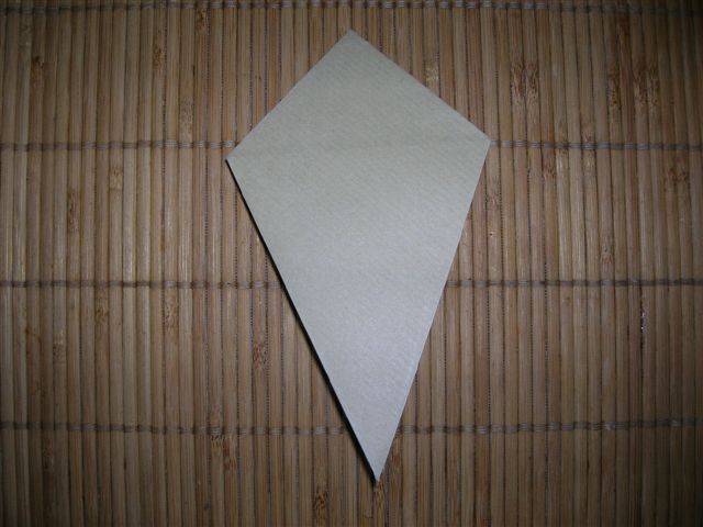 Cameleon_1
Départ : 2 feuilles de kraft bicolore 21 cm par 21 cm. Construction de la partie "tête". Partir d'une base de l'oiseau. Comme suggéré, ne pas marquer les plis de construction (ne plier qu'une diagonale)...
