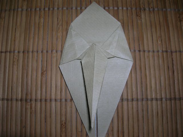Cameleon_9
