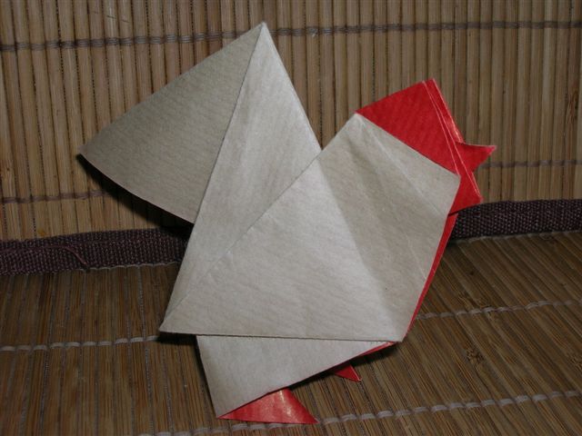 Coq de Ramon Diaz
