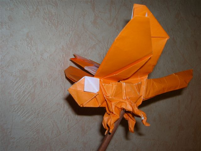 Libellule de R. lang
Libellule de "Origami Insects and their Kin", pliée dans un carré papier orange (35 X 35)
Mots-clés: libellule lang dragonfly