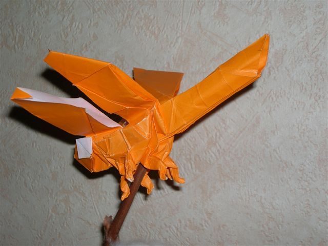 Libellule de R. lang
Libellule de "Origami Insects and their Kin", pliée dans un carré papier orange (35 X 35)
Mots-clés: libellule lang dragonfly