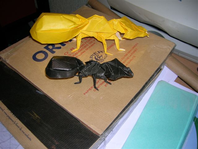 Fourmi de R. J. Lang
Fourmi de "Origami Insects and their Kin", pliée dans un carré de papier craft (21 X 21)

