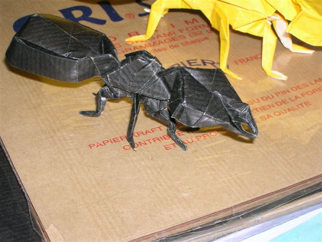 Fourmi de R. J. Lang
Fourmi de "Origami Insects and their Kin", pliée dans un carré de papier craft noir (21 X 21) et dans un carré de papier jaune (35 X 35)
Mots-clés: Ant Fourmi Lang Origami Insects and their Kin