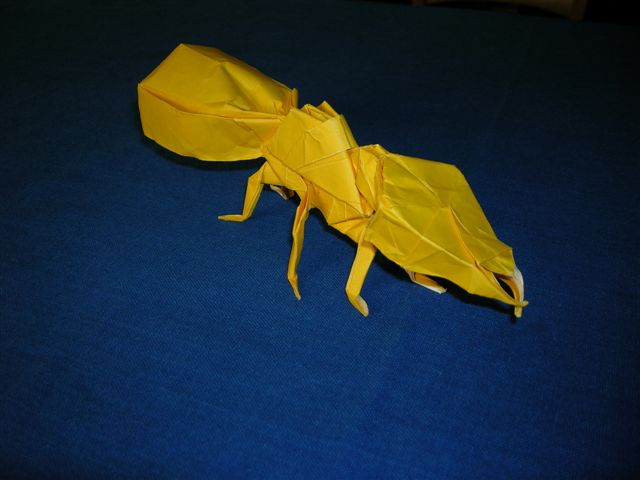 Fourmi de R. J. Lang
Fourmi de "Origami Insects and their Kin", pliée dans un carré de papier (35 X 35)
Mots-clés: Ant Fourmi Lang Origami Insects and their Kin