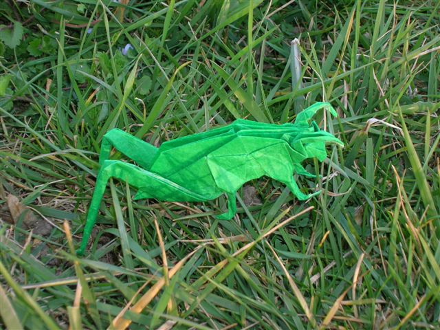 Grasshopper_Lang_Origami_Insects_and_Their_Kin
Mots-clés: Grasshopper Lang Origami Insects and Their Kin