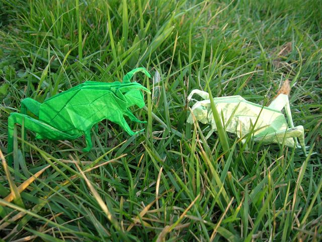 Grasshopper_Lang_Origami_Insects_and_Their_Kin
Mots-clés: Grasshopper Lang Origami Insects and Their Kin