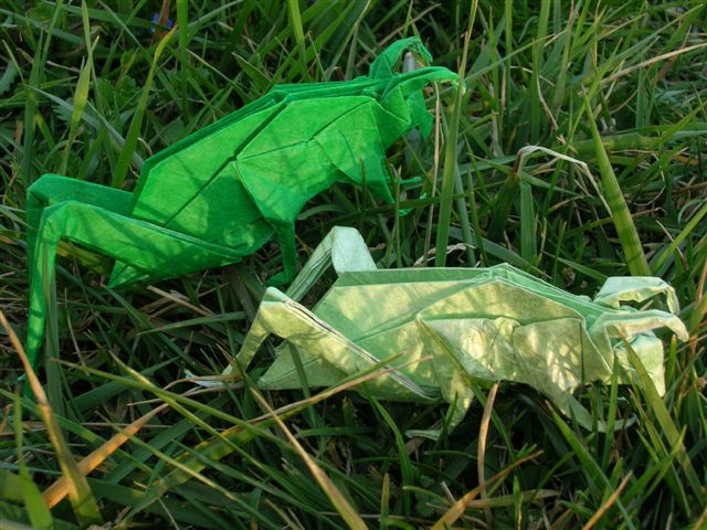 Grasshopper_Lang_Origami_Insects_and_Their_Kin
Mots-clés: Grasshopper Lang Origami Insects and Their Kin