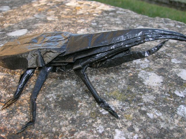 Hercules_Beetle_Lang_Origami_Insects_and_Their_kin
Mots-clés: Hercules Beetle Lang Origami Insects and Their kin