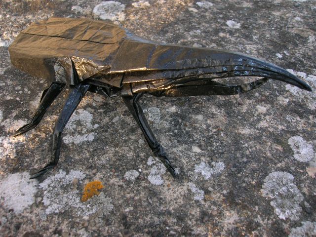 Hercules_Beetle_Lang_Origami_Insects_and_Their_kin
Mots-clés: Hercules Beetle Lang Origami Insects and Their kin