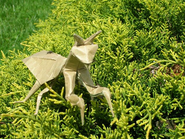 Lang_Mantis_(2).JPG
Mante religieuse de "Origami Insects and their Kin", pliée dans un carré de papier craft 32 gr contrecollé de papier de soie (30 X 30)
Mots-clés: Mante Mantis Lang Origami Insects and their Kin