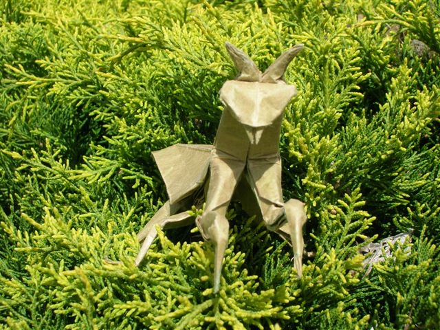 Lang_Mantis_(3).JPG
Mante religieuse de "Origami Insects and their Kin", pliée dans un carré de papier craft 32 gr contrecollé de papier de soie (30 X 30)
Mots-clés: Mante Mantis Lang Origami Insects and their Kin