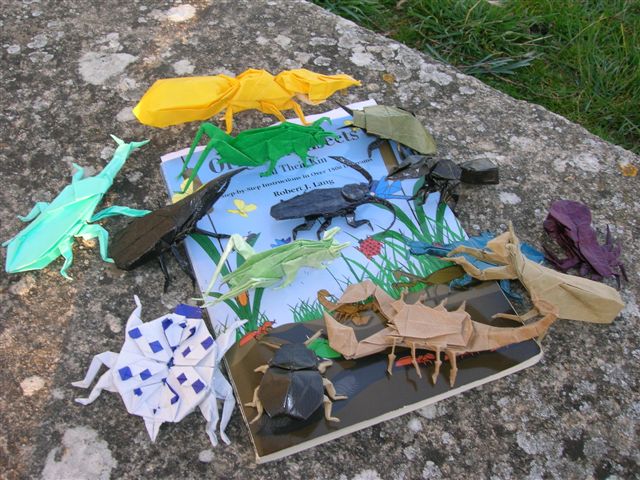 Lang_s_Origami_Insects_and_Their_Kin
Mots-clés: Lang's Origami Inscets and Their Kin
