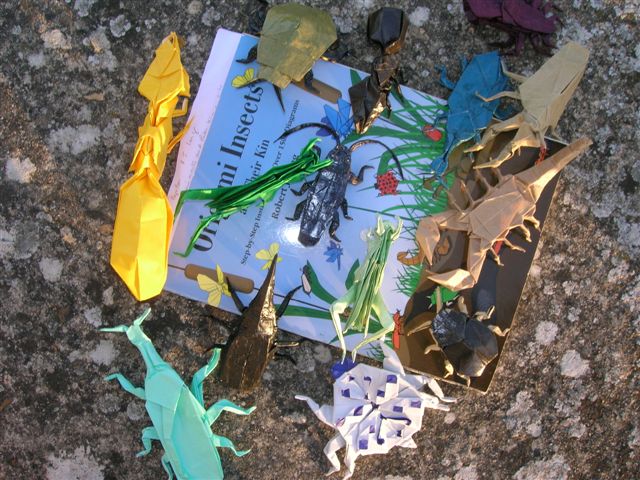 Lang_s_Origami_Insects_and_Their_Kin
Mots-clés: Lang's Origami Inscets and Their Kin