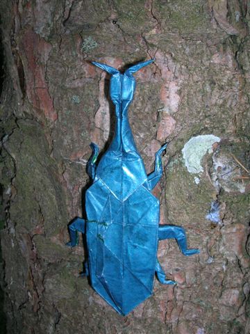 Long_Neck_Beetle_Lang_Origami_Insects_and_Their_Kin
Mots-clés: Scarab Beetle Lang Origami Insects and Their Kin