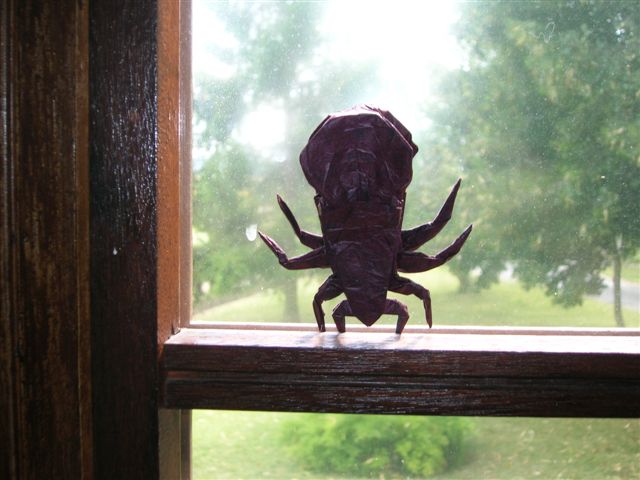 Orb weaver
Orb weaver de R. Lang dans "Origami Insects and their kin"
Mots-clés: Orb weaver Lang