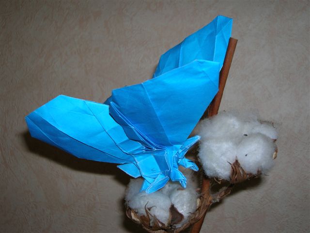 Papillon
Papillon de R. Lang dans "Origami Insects and their kin"
Mots-clés: Butterfly Papillon Lang