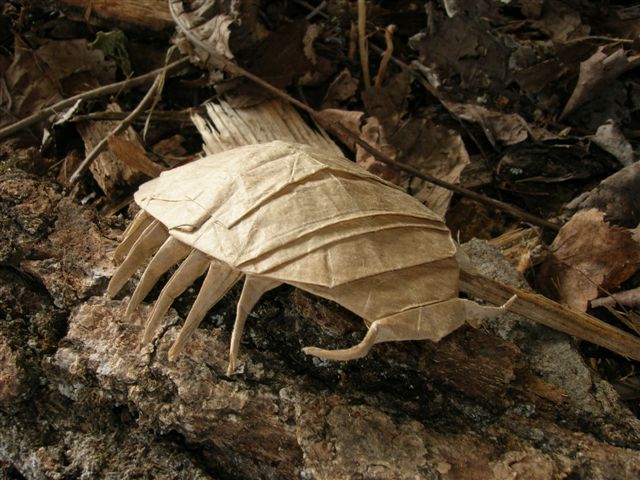 Pill_Bug
Mots-clés: Rober Lang Pillbug cloporte Origami Insects and their kin