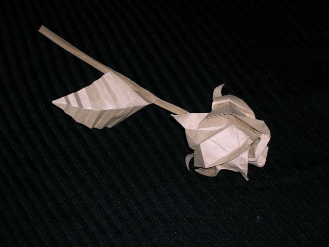Rose_Origami_(2)
New Rose de Kawasaki plié dans un carré de craft (21 X 21)
Mots-clés: New Rose Kawasaki