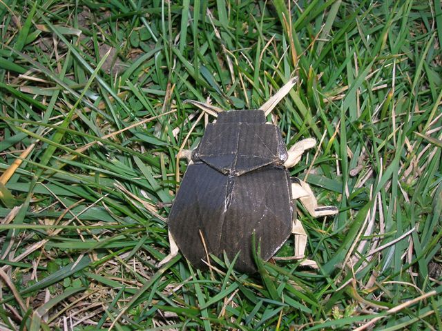 Scarab_Beetle_Lang_Origami_Insects_and_Their_Kin
Mots-clés: Scarab Beetle Lang Origami Insects and Their Kin