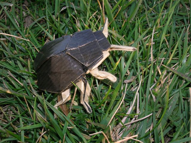 Scarab_Beetle_Lang_Origami_Insects_and_Their_Kin
Mots-clés: Scarab Beetle Lang Origami Insects and Their Kin