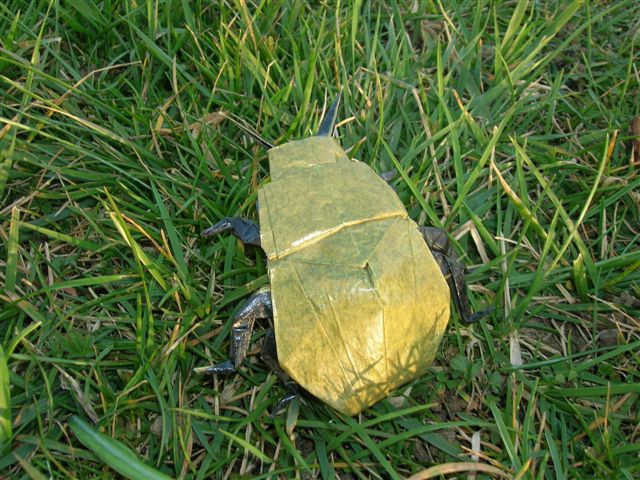 Scarab_Beetle_Lang_Origami_Insects_and_Their_Kin
Mots-clés: Scarab Beetle Lang Origami Insects and Their Kin