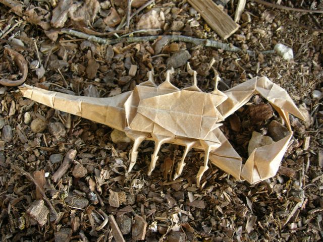 Scorpion_Lang_OITK_(7).JPG
Mots-clés: Scorpion Lang