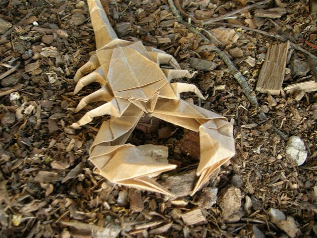 Scorpion_Lang_OITK_(8).JPG
Mots-clés: Scorpion Lang
