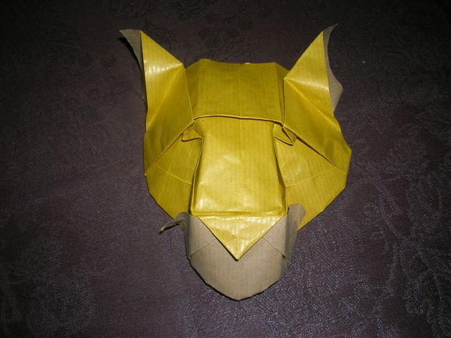 Tete de puma - Roman Diaz

