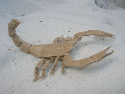 Lang_-_Scorpion_varileg.jpg