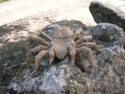 R_J__Lang_-_tarentula.jpg