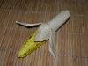 Nom du fichier=Banane_(1).JPG
Taille du fichier=68Ko
Dimensions : 640x480
Ajouté le : 25 Septembre 2009 Banane_(1).JPG