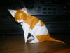 Fumiaki_Kawahata_-_Cat_Herr_28129.JPG